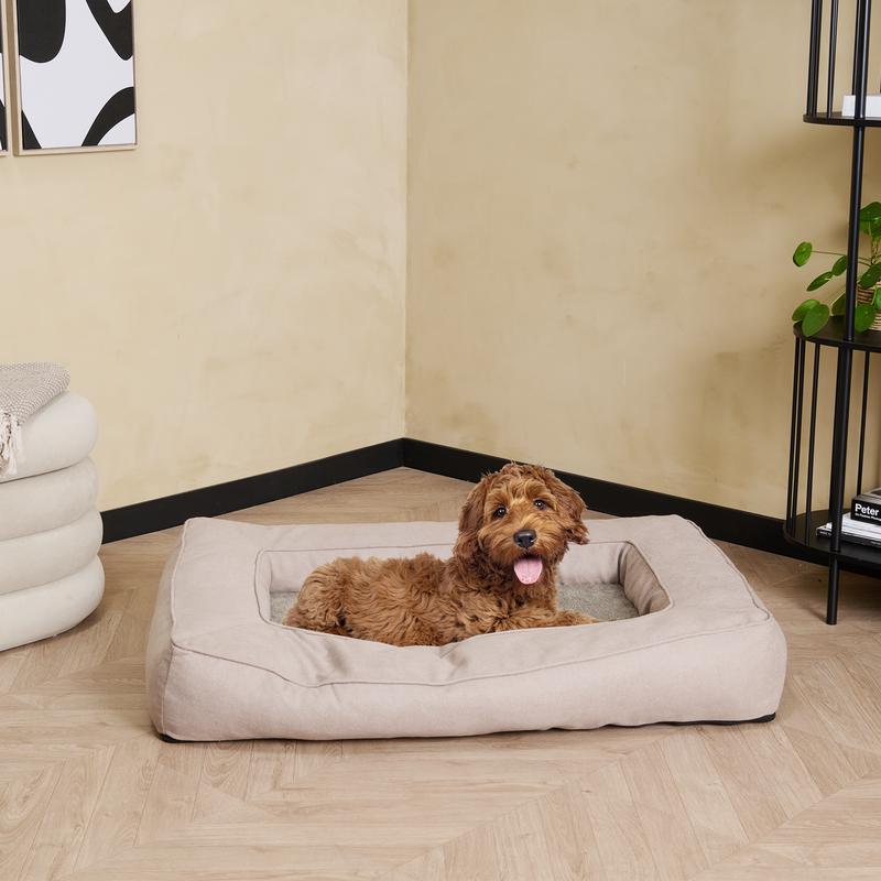 Bruine krullende hond ligt op het zandkleurige hondenkussen met memory foam van Action
