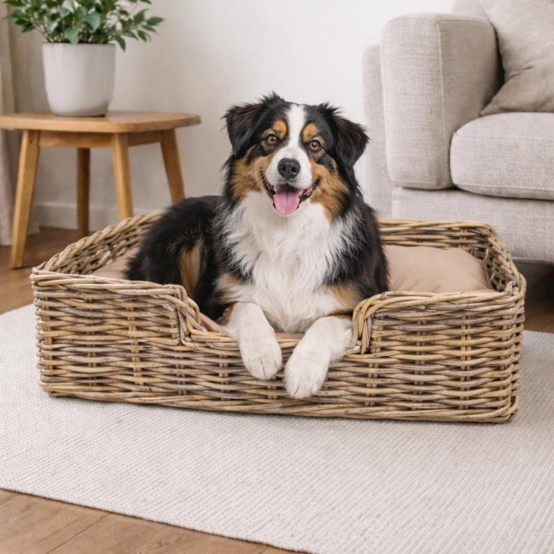 Hond ligt in de rotan hondenmand met kussen van Action op een vloerkleed in de woonkamer