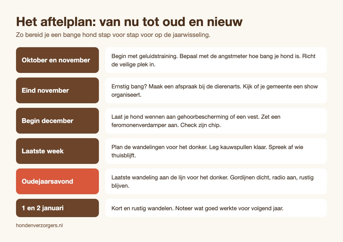 Aftelplan van oktober tot januari voor een hond die bang is voor vuurwerk
