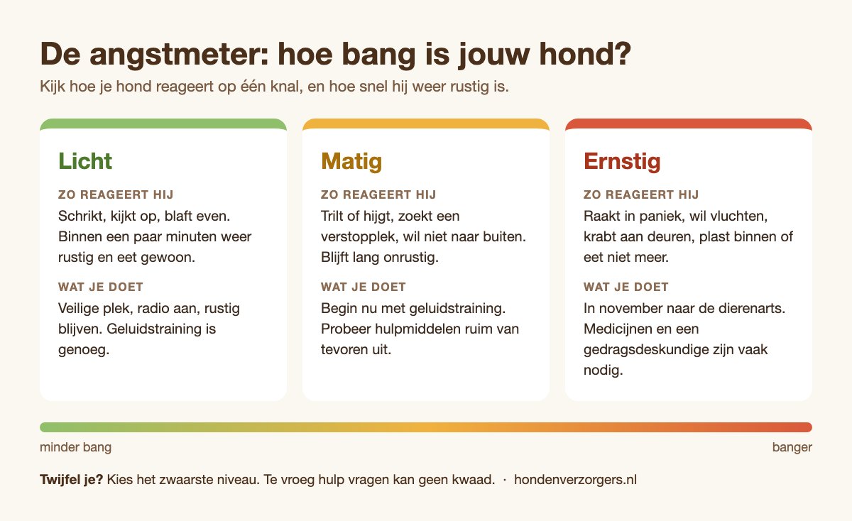Angstmeter: licht, matig of ernstig bang voor vuurwerk en wat je per niveau doet